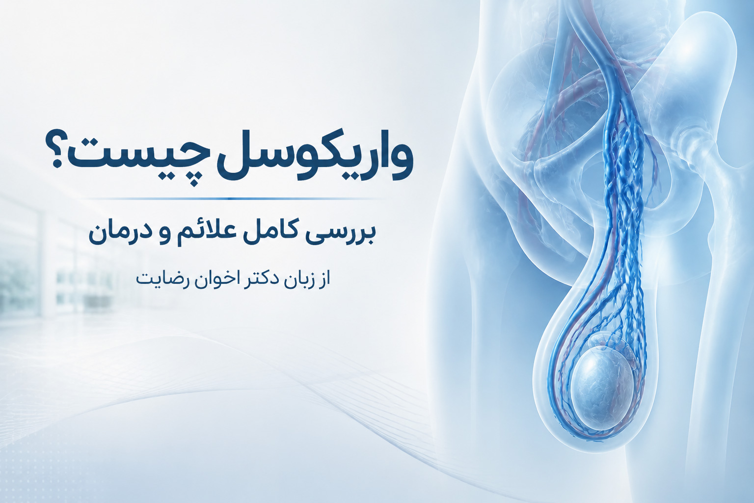 واریکوسل چیست؟ بررسی کامل علائم و درمان از زبان دکتر اخوان رضایت